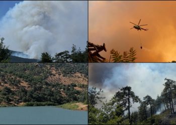Türkiye genelinde 47 ilde ormanlara giriş yasaklandı