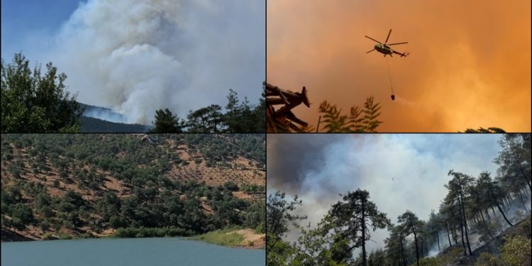 Türkiye genelinde 47 ilde ormanlara giriş yasaklandı