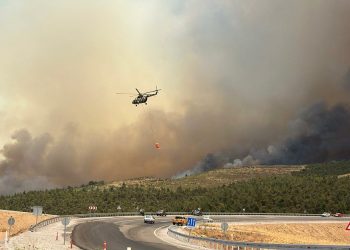 Türkiye’de iki günde 68 orman yangını çıktı
