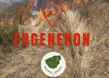 Ergenekon köyünde yangın…