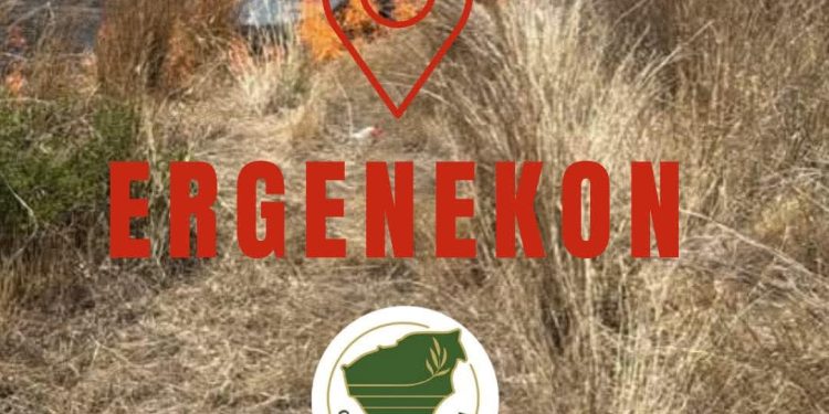 Ergenekon köyünde yangın…