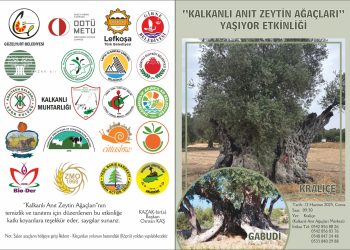 “Kalkanlı Anıt Zeytin Ağaçları Yaşıyor” etkinliği 13 Haziran Cuma günü düzenlenecek
