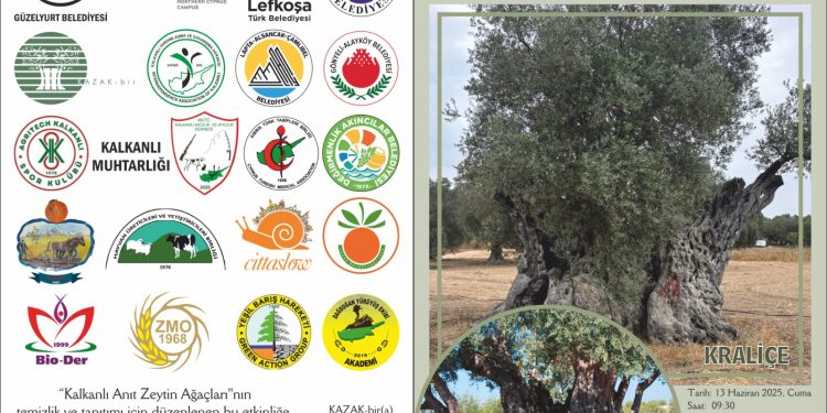 “Kalkanlı Anıt Zeytin Ağaçları Yaşıyor” etkinliği 13 Haziran Cuma günü düzenlenecek