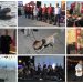 Girne’de “Polis Birimleri Tanıtım Etkinliği” düzenlendi