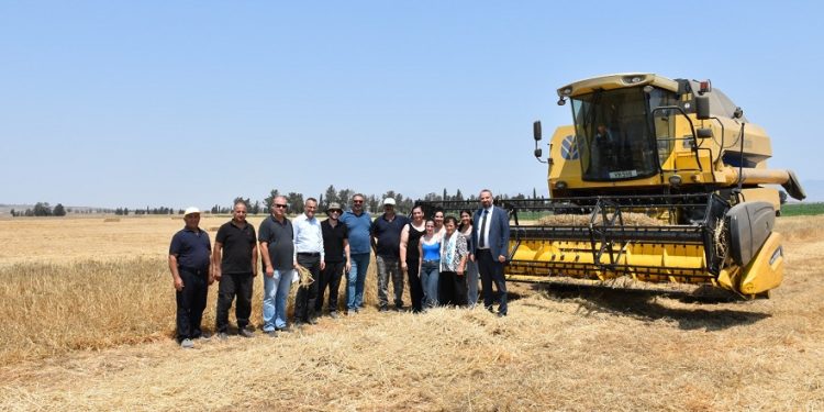 Reşatbey Arpası’nın hasadı tamamlandı