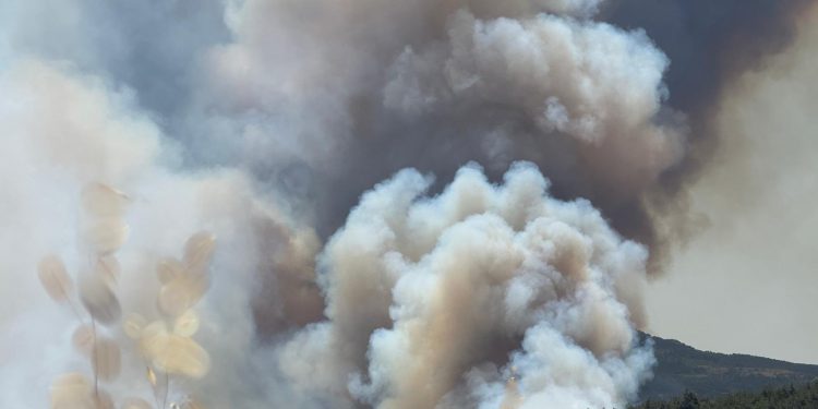 Türkiye’de altı ilde orman yangını: Alevler evlere sıçradı