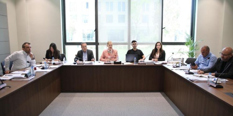 Ekonomi, Maliye, Bütçe ve Plan Komitesi iki yasa tasarısını Genel Kurul’a sevk etti