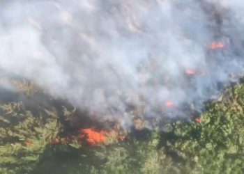 Antalya’da iki bölgede orman yangını: Havadan ve karadan müdahale ediyor