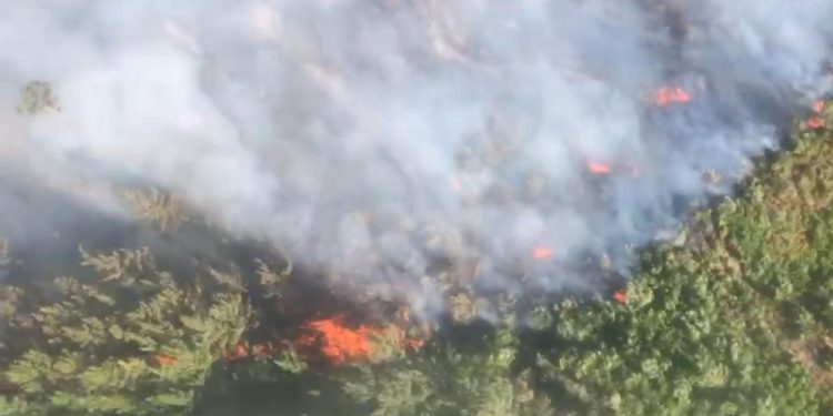Antalya’da iki bölgede orman yangını: Havadan ve karadan müdahale ediyor