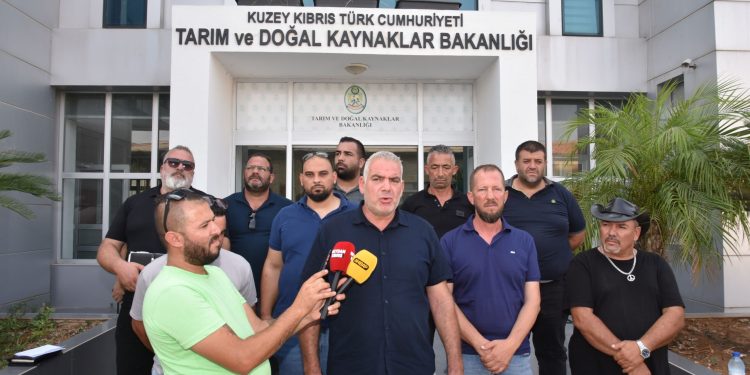 Hayvan üreticileri hükümete seslendi: Artık planlı üretim yapmak istiyoruz