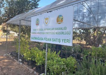 Gazimağusa’da fidanlık satış yeri hizmete girdi