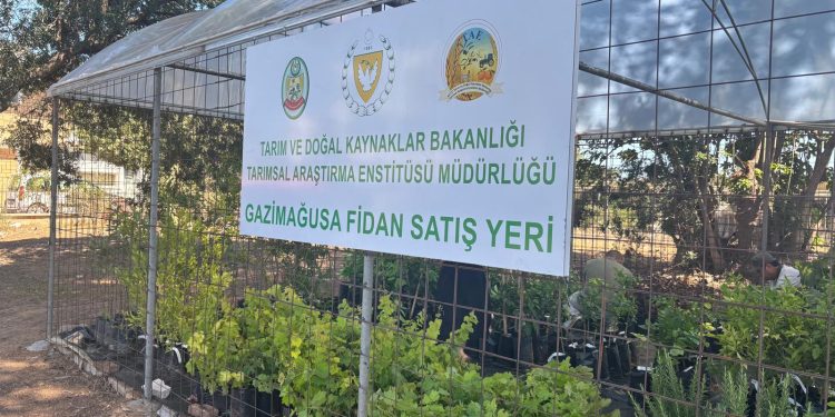Gazimağusa’da fidanlık satış yeri hizmete girdi