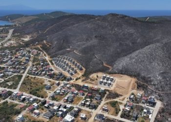 İzmir ve Bilecik’in orman yangınından etkilenen ilçeleri “Genel Hayata Etkili Afet Bölgesi” ilan edildi