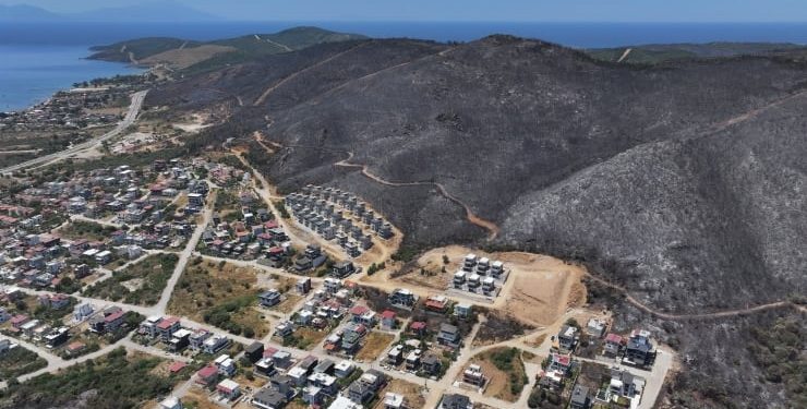 İzmir ve Bilecik’in orman yangınından etkilenen ilçeleri “Genel Hayata Etkili Afet Bölgesi” ilan edildi