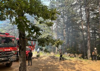 Bursa’nın 2 ilçesinde çıkan orman yangınına müdahale ediliyor
