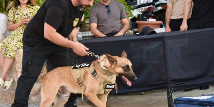 Suçluların korkulu rüyası “süper burun” dedektör köpekler her an göreve hazır