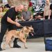 Suçluların korkulu rüyası “süper burun” dedektör köpekler her an göreve hazır