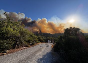 İzmir’in Urla ilçesinde orman yangını