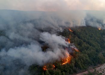Tekirdağ’da orman yangını: Gelibolu’ya sıçradı, bazı köyler tahliye edildi
