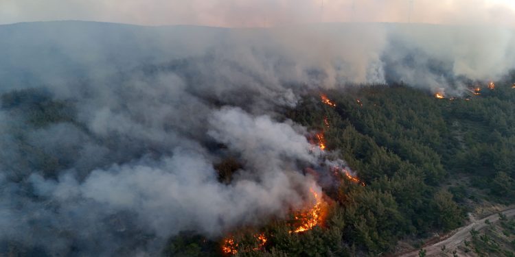 Tekirdağ’da orman yangını: Gelibolu’ya sıçradı, bazı köyler tahliye edildi
