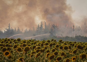Tekirdağ’da çıkan orman yangını Çanakkale’ye sıçradı