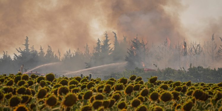 Tekirdağ’da çıkan orman yangını Çanakkale’ye sıçradı