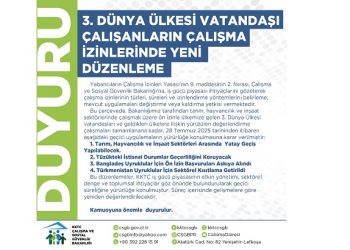 Çalışma Bakanlığı, üçüncü dünya ülkesi çalışanların çalışma izinlerine yeni düzenleme getirdi