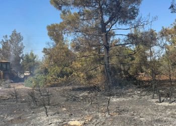 Esentepe-Karaağaç bölgesindeki yangına 29 muhtelif cinste araçla müdahale edildi