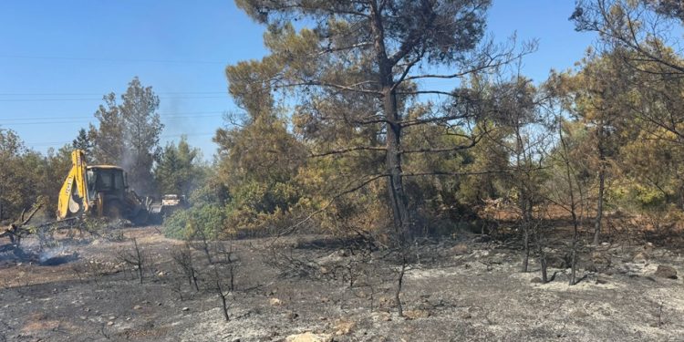 Esentepe-Karaağaç bölgesindeki yangına 29 muhtelif cinste araçla müdahale edildi