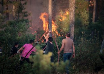 Türkiye’de orman yangınları: Bursa yangınlarında dört kişi hayatını kaybetti