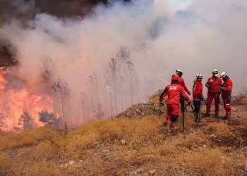 Bursa’nın Orhaneli-Harmancık hattındaki orman yangını beşinci gününde
