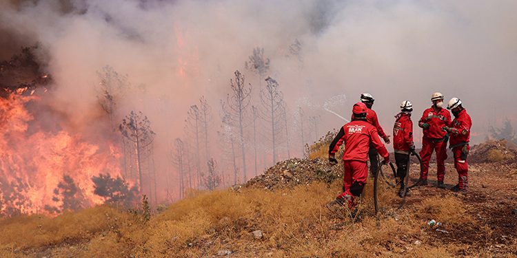 Bursa’nın Orhaneli-Harmancık hattındaki orman yangını beşinci gününde
