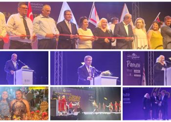 Mehmetçik Üzüm Festivali görkemli bir törenle başladı