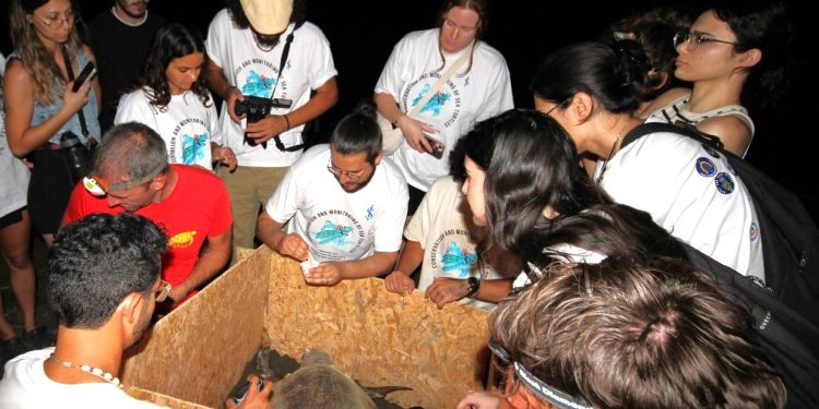 Caretta Caretta kaplumbağalarına uydu vericisi takıldı