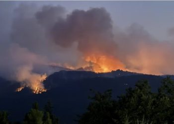 Eskişehir’de yangına müdahale eden 10 orman kahramanı şehit oldu