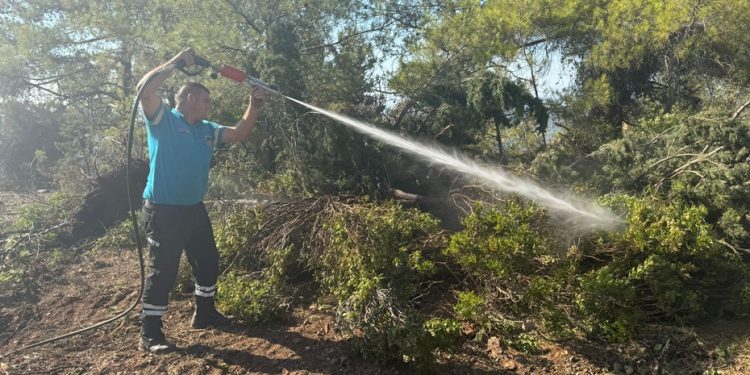 Esentepe-Karaağaç sırtlarındaki yangın…Orman Dairesi Müdürü Poyraz: Yangın, elektrik tellerinin ağaçlara temas etmesi sonucu çıktı