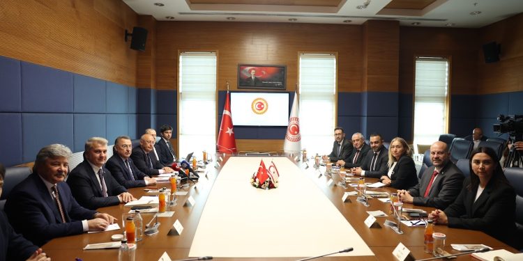 Hukuk Komitesi heyeti, TBMM Dışişleri Komisyonu ile görüştü..Oktay: “İki devletli çözüme tam destek veriyoruz”