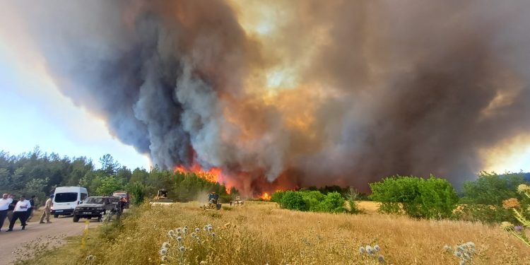 Türkiye’de altı noktada alevlerle mücadele sürüyor