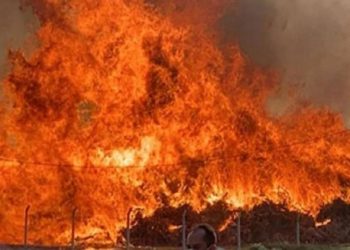 Türkiye’de haziranda 612 orman yangınına müdahale edildi