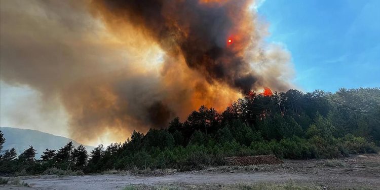 Balıkesir’de çıkan orman yangınına müdahale ediliyor