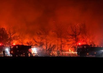 Türkiye’nin ciğerleri yanıyor. Yangınlarla mücadele devam ediyor
