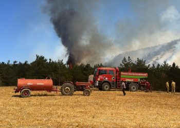 Bolu’da çıkan orman yangınına müdahale ediliyor