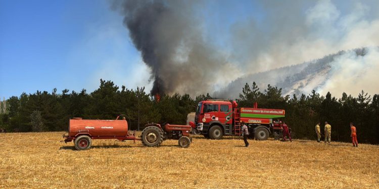 Bolu’da çıkan orman yangınına müdahale ediliyor