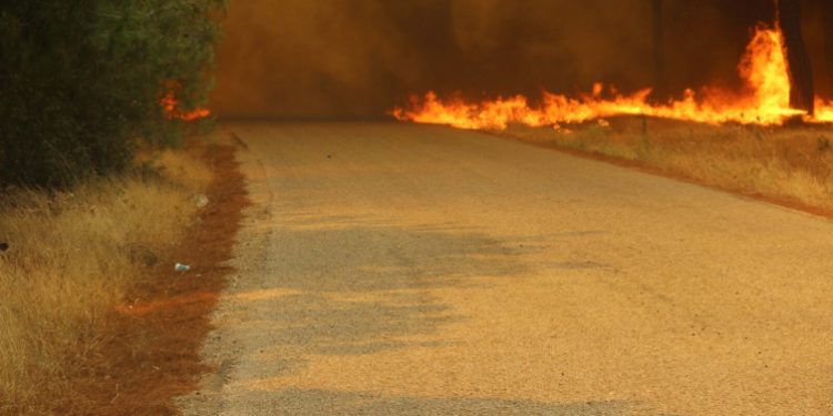Çanakkale’de orman yangını
