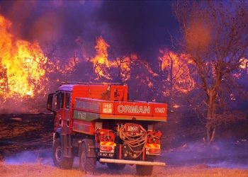 Türkiye yangınlarla mücadeleye devam ediyor…