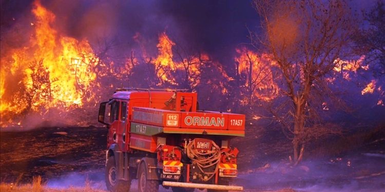 Türkiye yangınlarla mücadeleye devam ediyor…