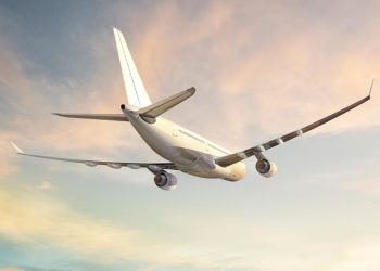 Afgan çocuk Kabil'den Yeni Delhi'ye iniş takımları yuvasında uçtu