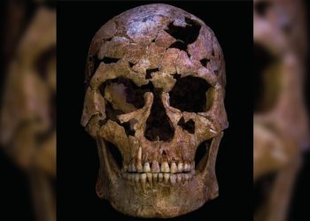 12 bin yıllık kemikler, bilinen en eski cinayet vakalarından biri olabilir