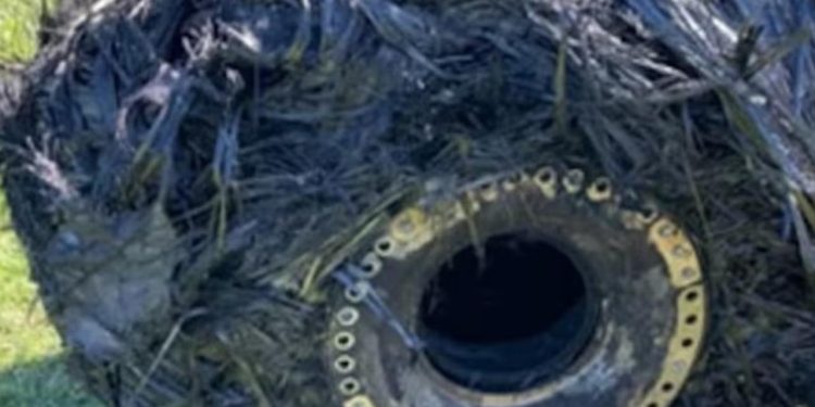 Arjantinde gizemli "uzay kapsülü" paniği