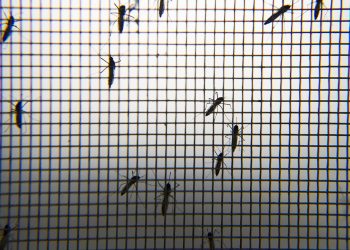 Çin'de halk sağlığı acil durumu ilan edildi